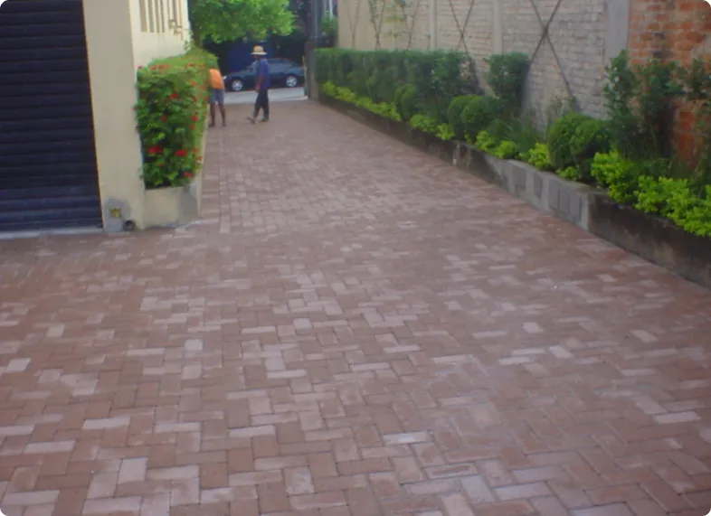Modelo Linea